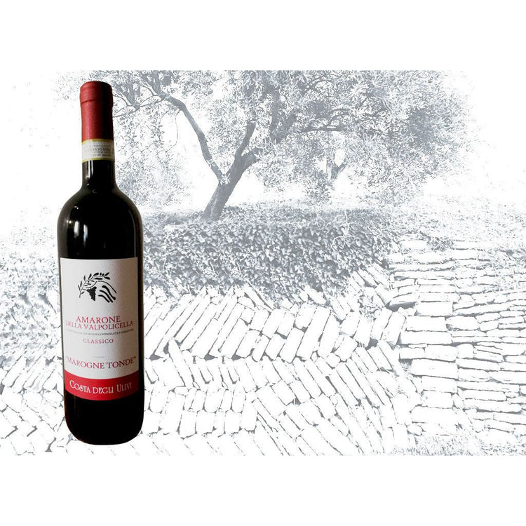 Amarone della Valpolicella Marogne Tonde (Costa Degli Ulivi) BIO 🐸