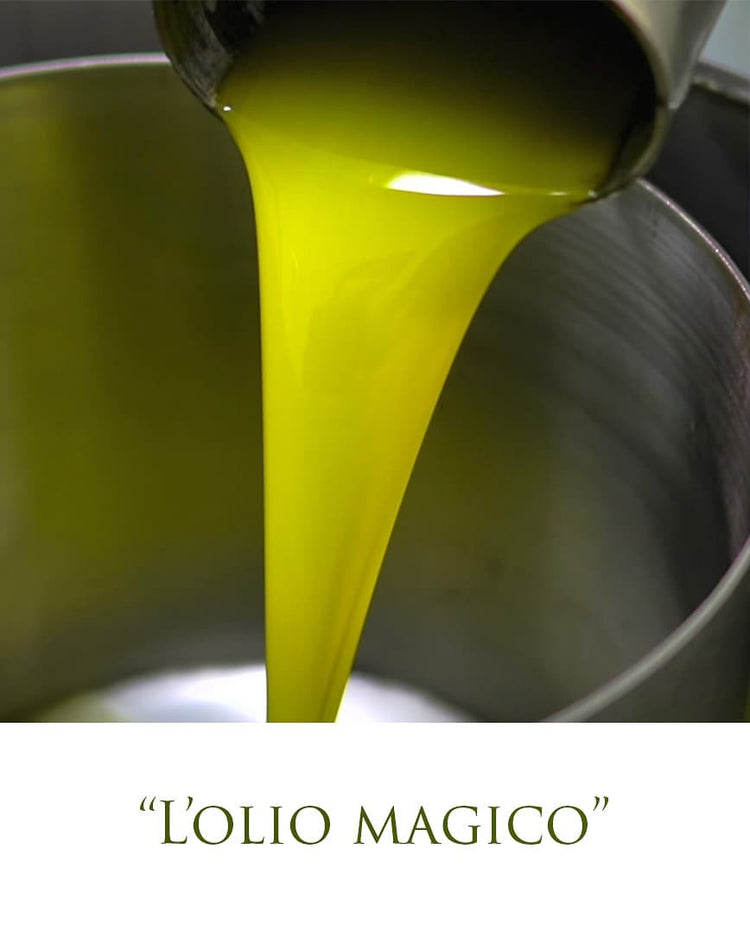 Huile d'olive BIO d'exception Mono Cultivar Leccino 50cl Persiani🐸🐸🐸