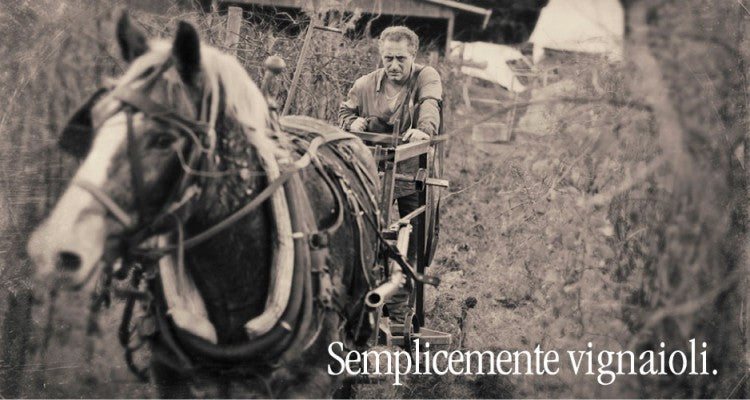 Di Fillipo Ovino.be