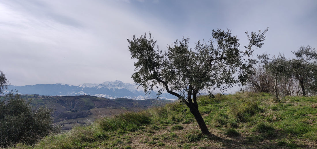Samedi 21/03 de 14 à 18h: une dizaine de vins en dégustation gratuite pour fêter le retour des beaux jours!