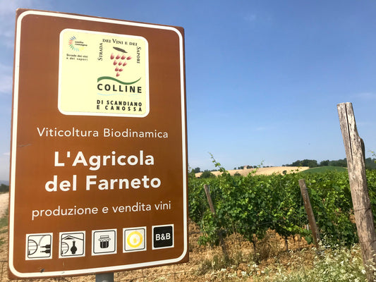 Il farneto Ovino.be