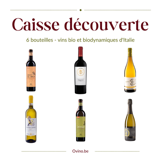 Caisse découverte 6 bouteilles : Montepulciano, Primitivo Integro, Grechetto, Spinola Gavi, LaBelle et Prosecco