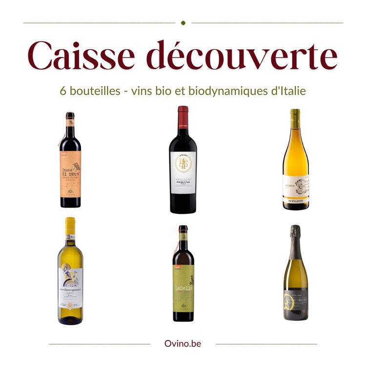 Caisse découverte 6 bouteilles : Montepulciano, Primitivo Integro, Grechetto, Spinola Gavi, LaBelle et Prosecco